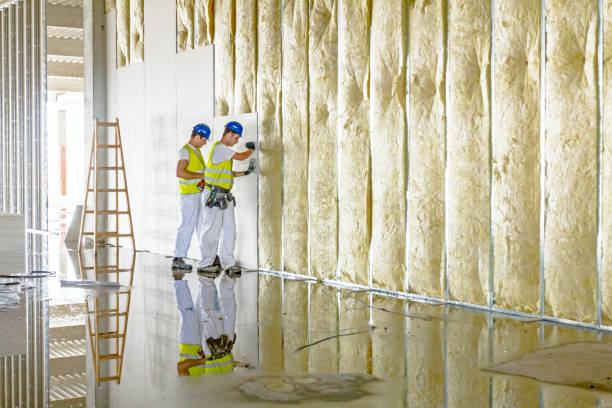 Best Cellulose Insulation in Athens, PA